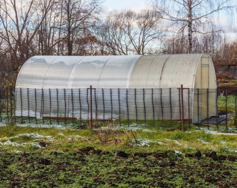 Jak wykorzystać szklarnię w zimie? Idealnie nadaje się do przechowywania wielu warzyw