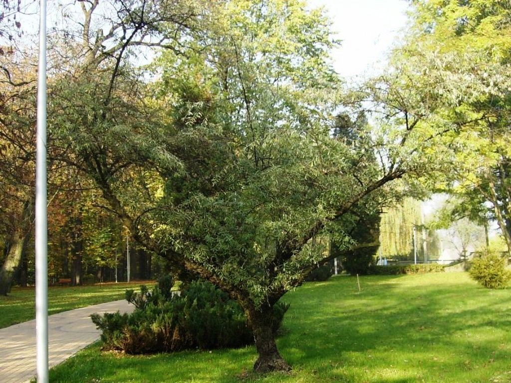 Podróże, UROK  JESIENNYCH  DNI