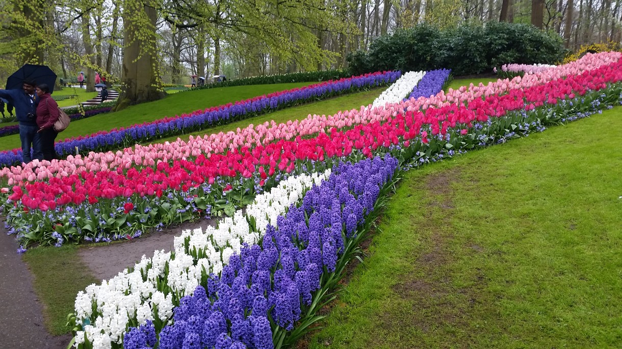 Pozostałe, Wizyta w Keukenhof