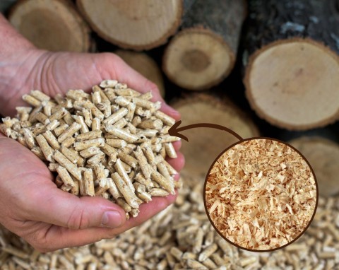 Jak zrobić pellet z trocin? Własna produkcja pelletu z drewna odpadowego krok po kroku