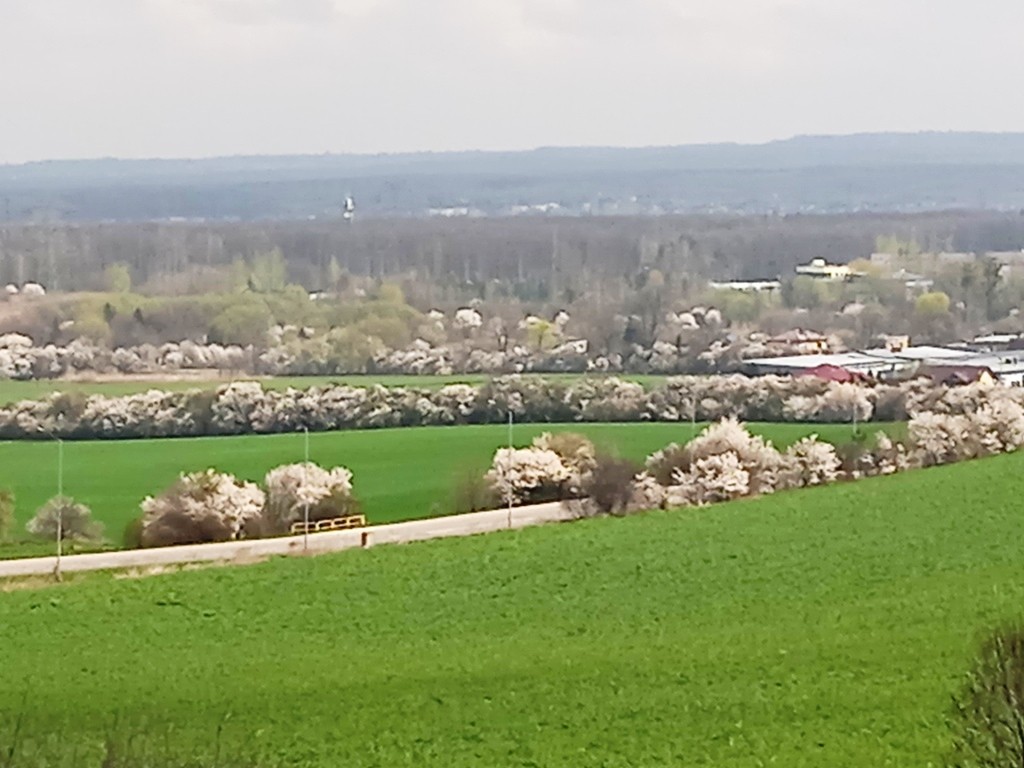 Podróże, BIAŁO - ZIELONY  KWIECIEŃ