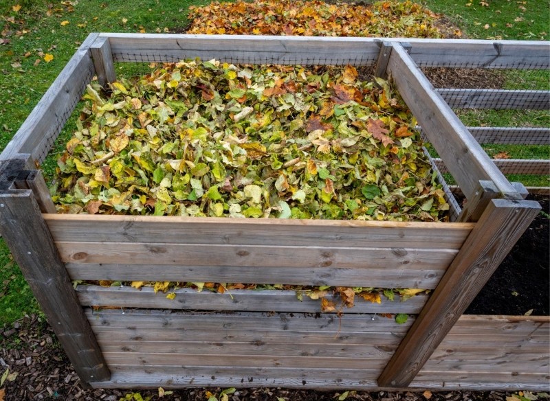 kompost czy ściółka 