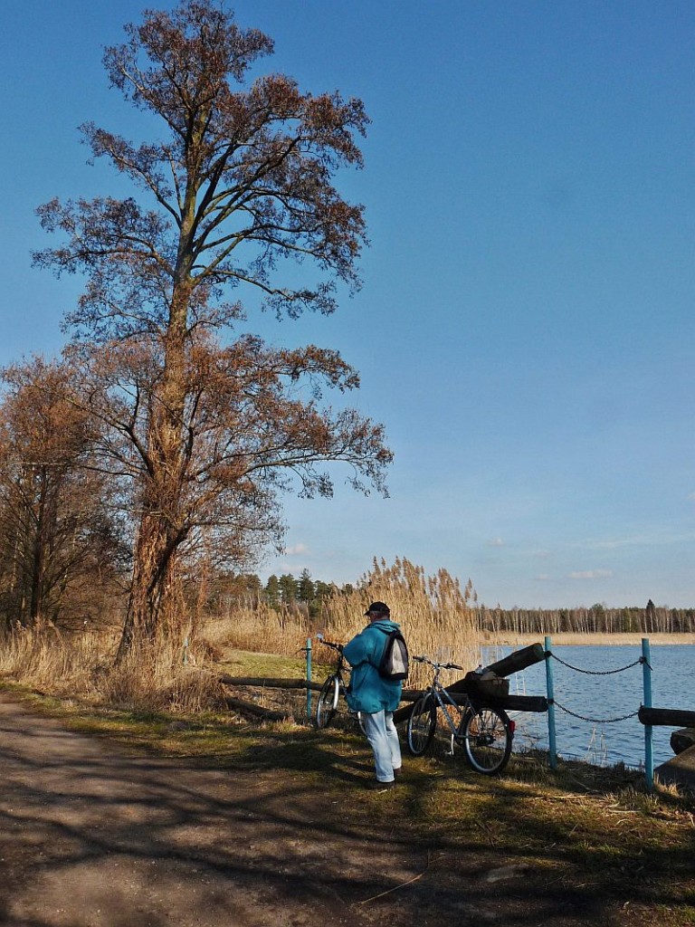 Pozostałe, Marzec u mnie - staw koło Turawy