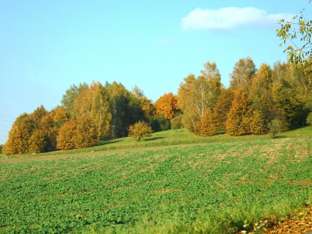 Podróże, UROK  JESIENNYCH  DNI