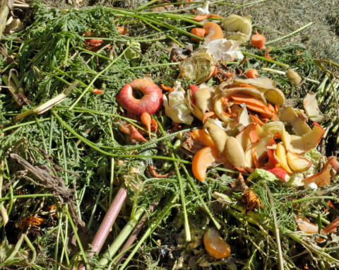 Kompost gnije lub jest suchy jak wiór? Nie kupuj drogich aktywatorów, a wypróbuj banalny trik