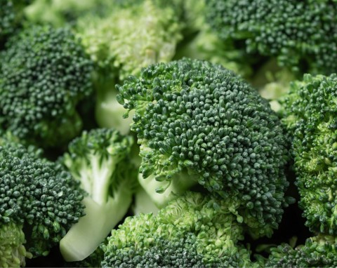 Brokuł (Brassica oleracea var. italica)