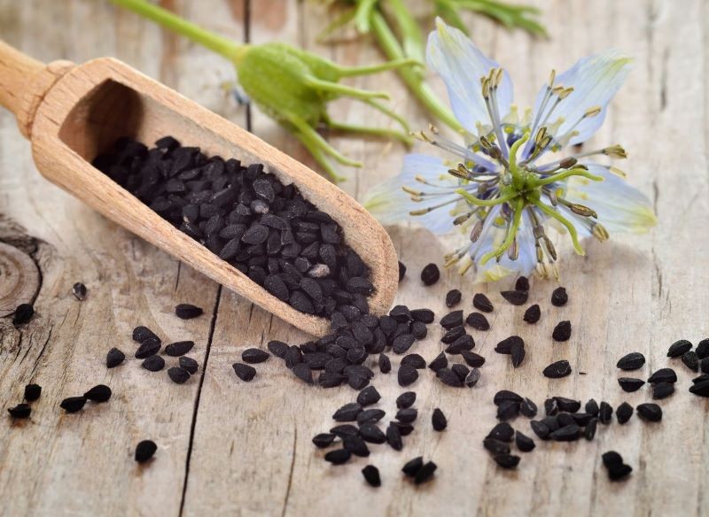 Czarnuszka pomaga na wiele częstych dolegliwości, ale jej stosowanie powinniśmy skonsultować z lekarzem.