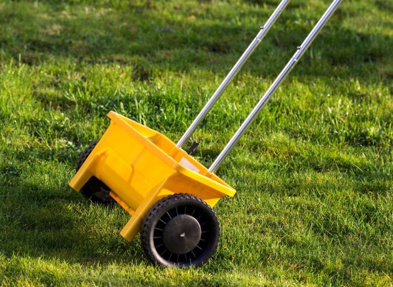 Nawóz wapienny możemy rozprowadzić na trawniku, korzystając z siewnika ogrodowego. 