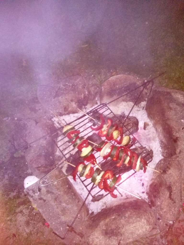 Pozostałe, Szukałam jesieni... - ostatnie onisko w ogródku..., a i coś bardziej kalorycznego też było...