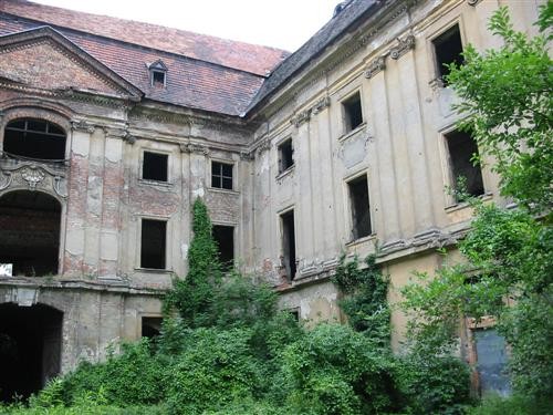 Pozostałe, Ruiny pałacowo-zamkowe w Żarach