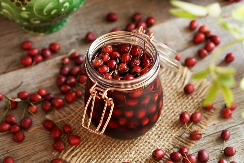 dlaczego warto mieć głóg w ogrodzie