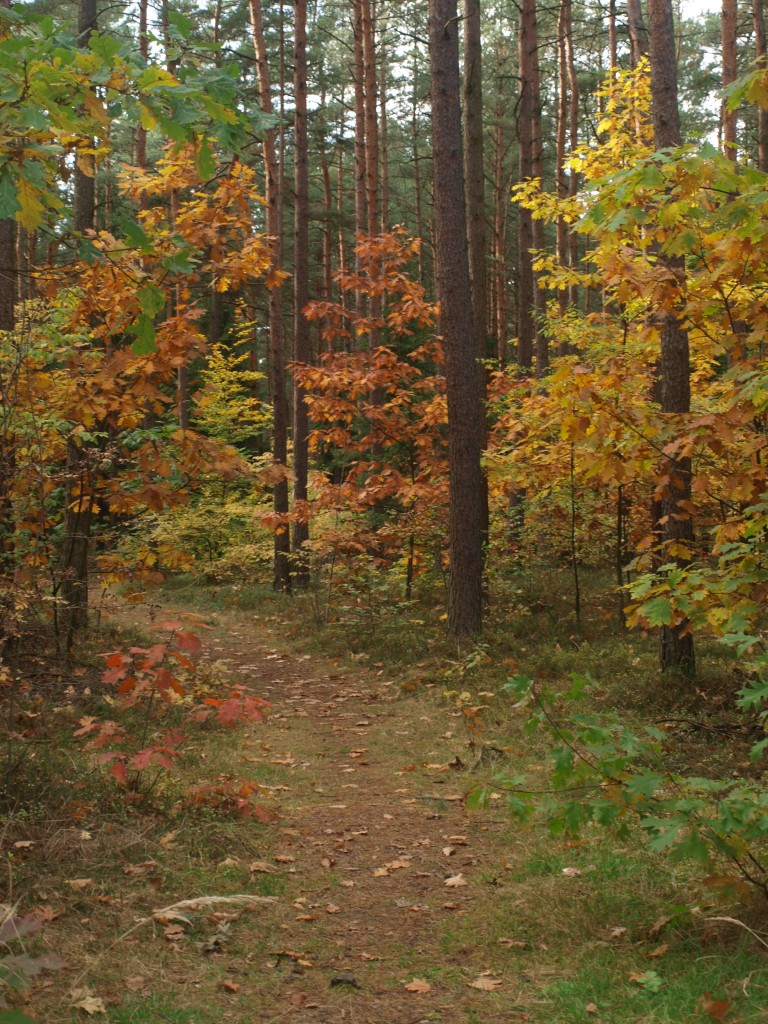 Pozostałe, Liście