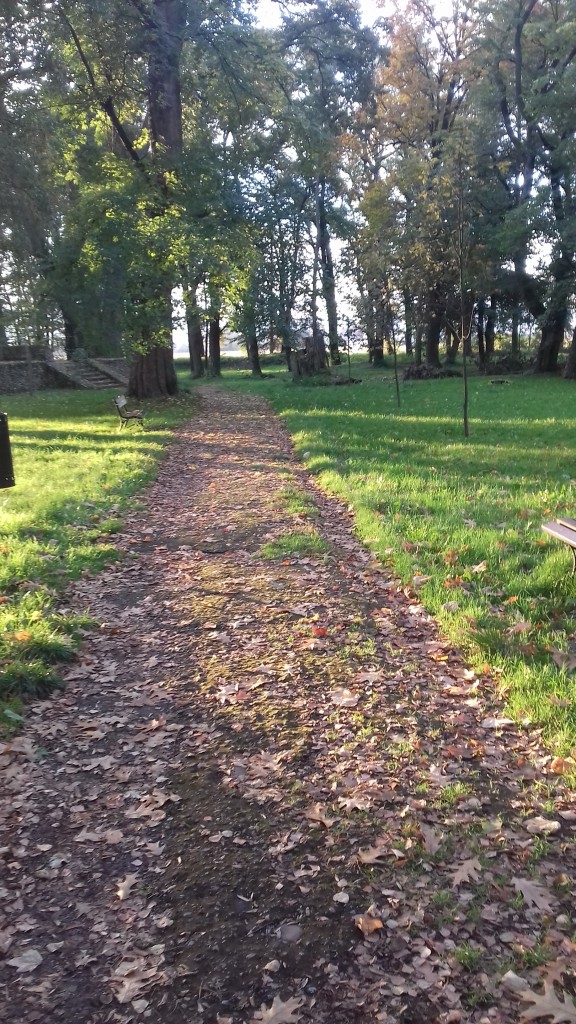 Leśne klimaty, Park jesienią