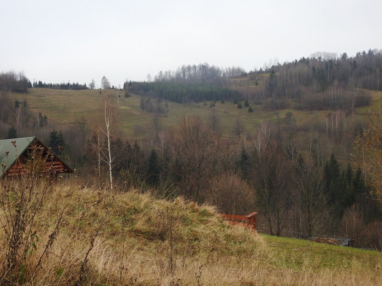 Leśne klimaty, GRUDNIOWY CZAS