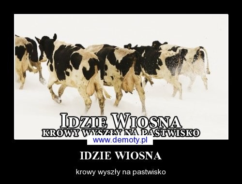 Pozostałe, IDZIE WIOSNA...