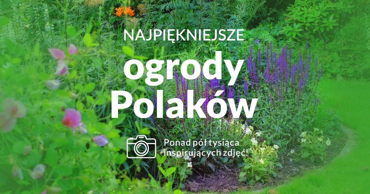 Najpiekniejsze ogrody Polaków