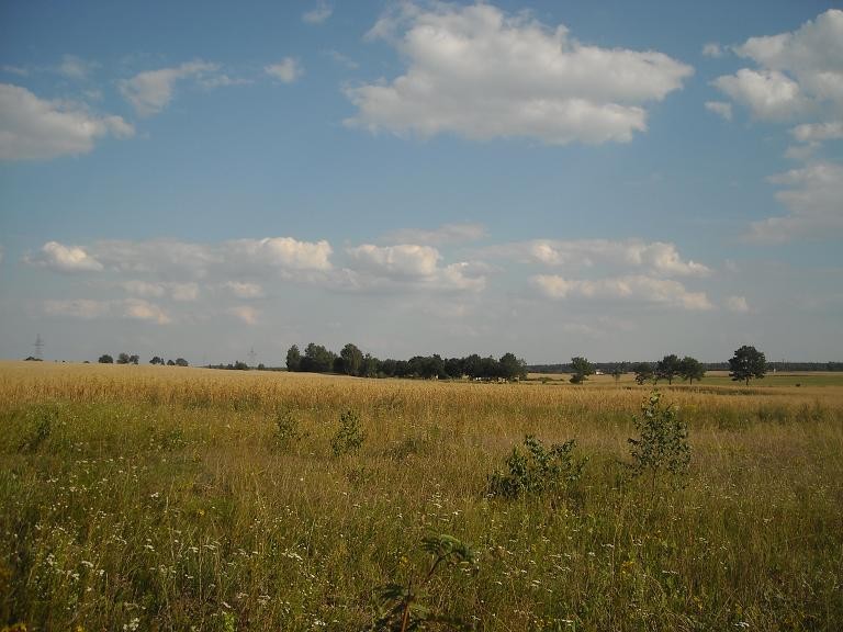 Pozostałe, Wiejskie klimaty czyli weekend na wsi...........