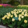 Pozostałe, Keukenhof