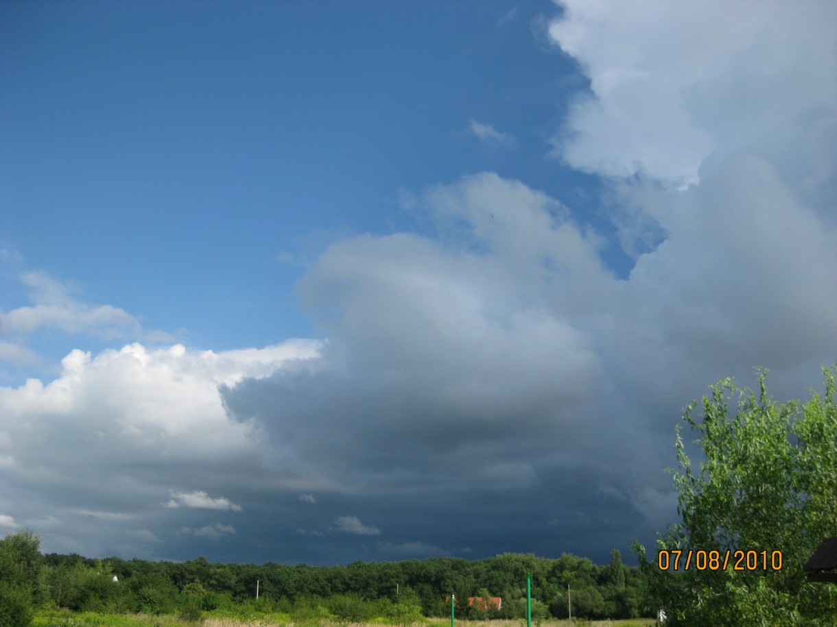 Ogród, widok z ogrodu