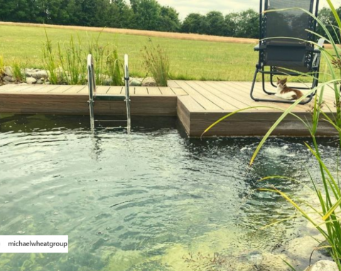 Jak założyć ekologiczny basen w ogrodzie? Kompleksowy poradnik