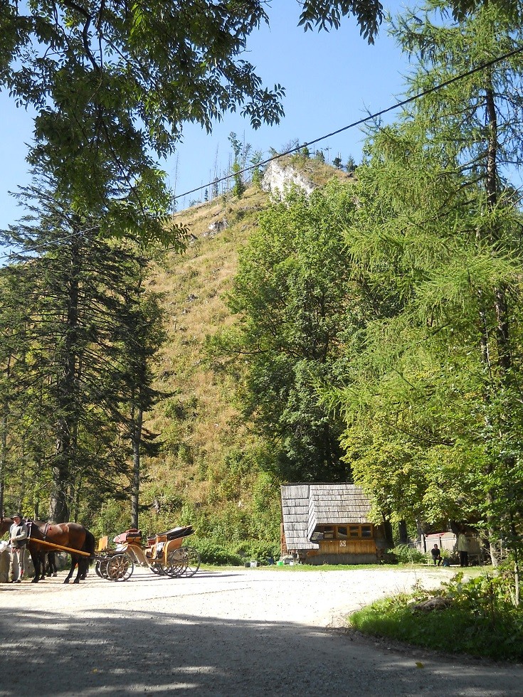 Pozostałe, Zakopane w foto - pigułce. Część piąta: Dolina Kościeliska. - Na turystów nie czujących się na siłach czekają koniki.