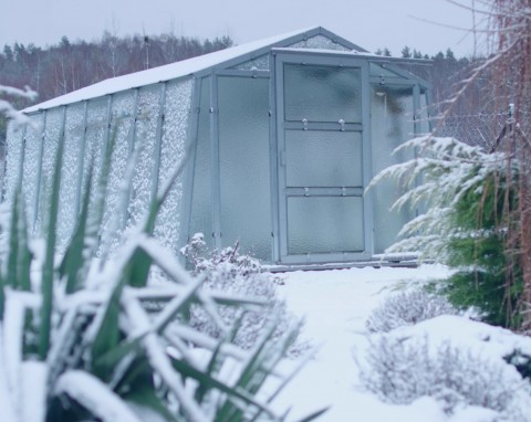 Amerykańscy ogrodnicy rozkładają to zimą w ogrodzie. Szczury i myszy nie szukają tam schronienia
