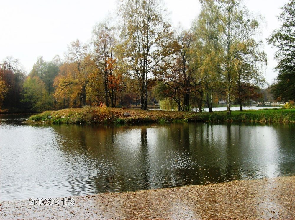 Pozostałe, PARK w ŚWIERKLAŃCU - Rozległe jeziorko ... lustrzane odbicie...