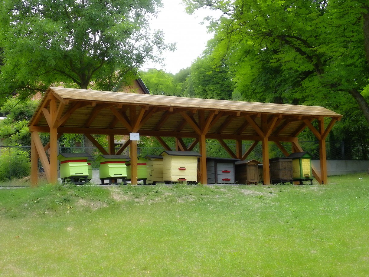 Pozostałe, Arboretum w Gołuchowie - Park i zabudowania cz 1 - Gołuchów  Dom pszczelarza