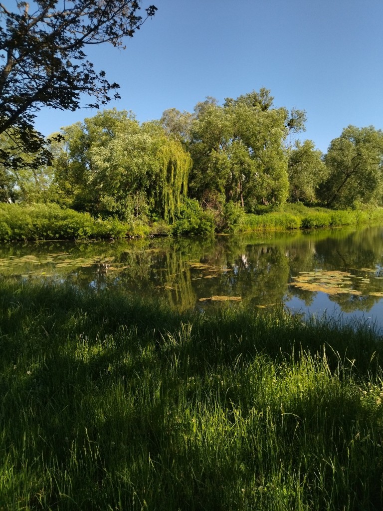 Rośliny, Lato.................... - Lato...................kolorowe..............gorące...................pachnące...............
różnorodność kwiatów i bujna zieleń zachęcają do spędzania czasu na wolnym powietrzu................ładujmy akumulatorki i cieszmy się latem póki jest.............