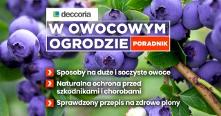 W owocowym ogrodzie