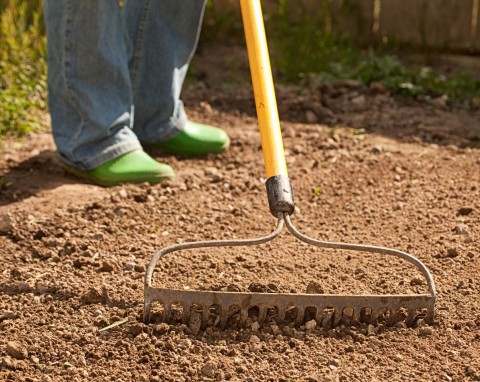 Mało doceniany naturalny nawóz. Dobrze sprawdza się przy jesiennym nawożeniu gleby i kompostowaniu