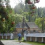 Rośliny, NIEZWYKŁA MOC KWIATÓW I ZIÓŁ ...CZ 1