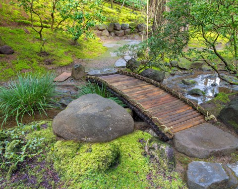 Jak założyć ogród japoński? Zdjęcia i aranżacje