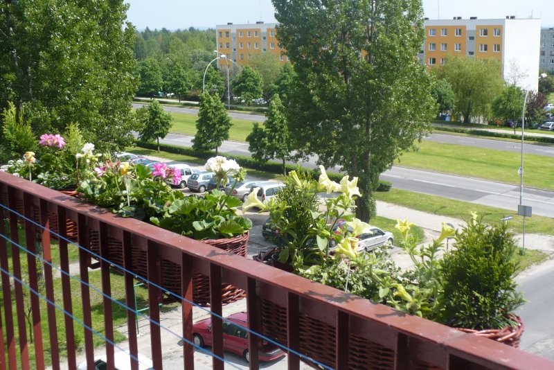 Pozostałe, Balkon 2010