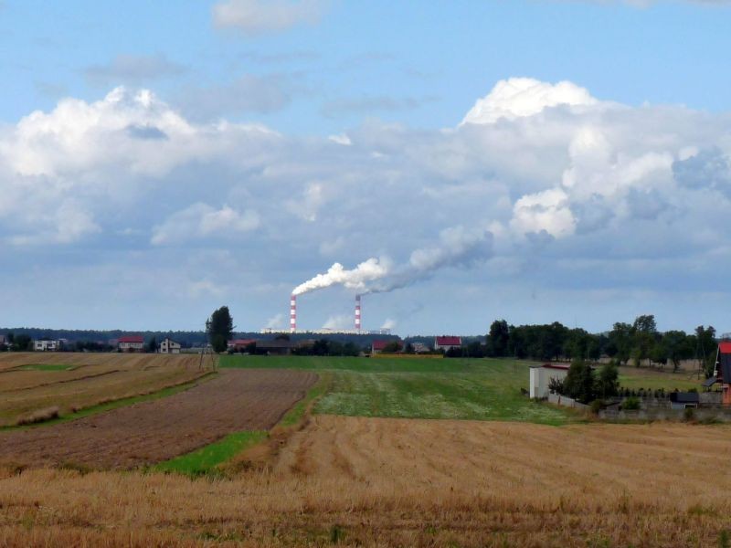 Ogród, Na tle błękitnego nieba.