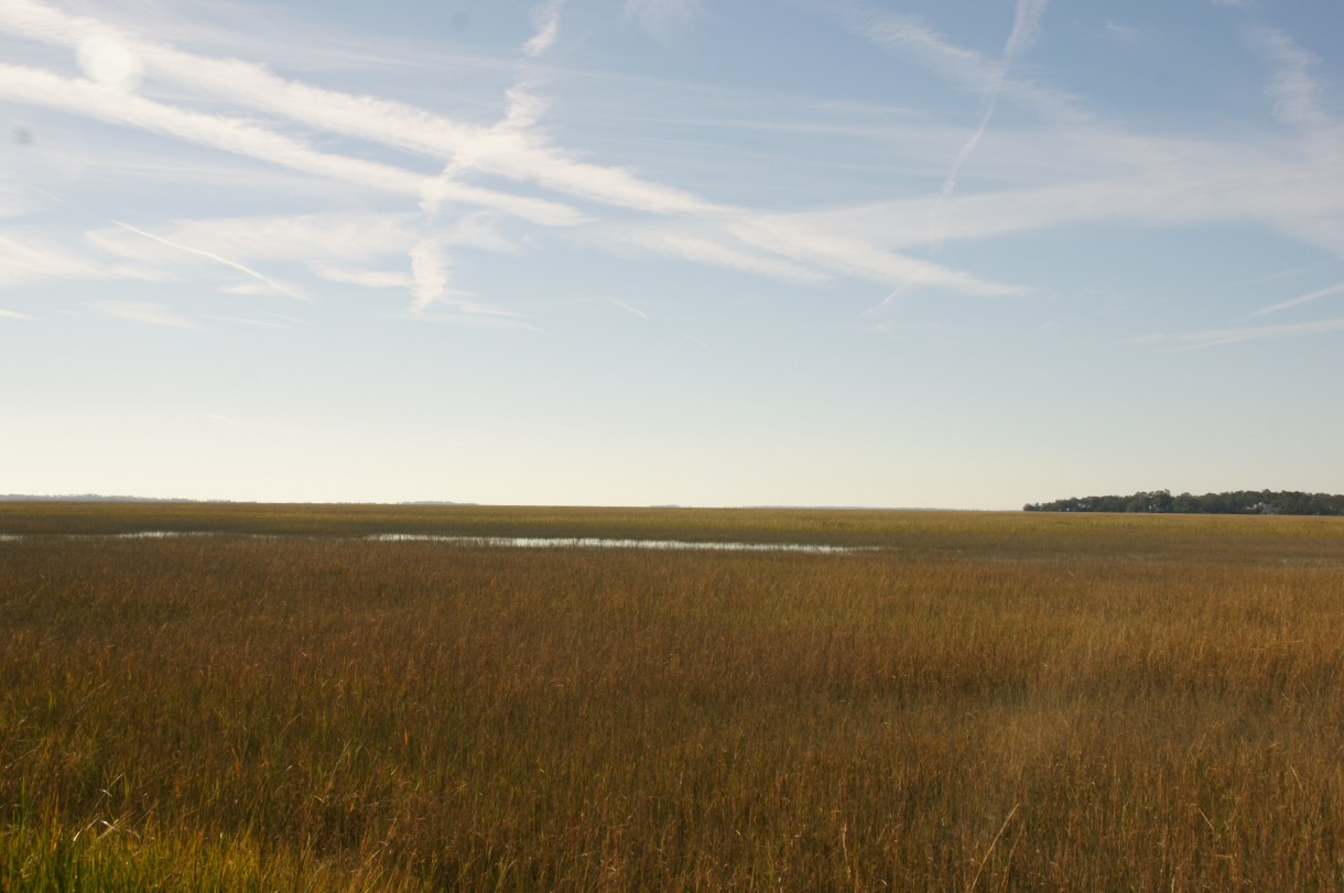 Podróże, Savannah, Georgia