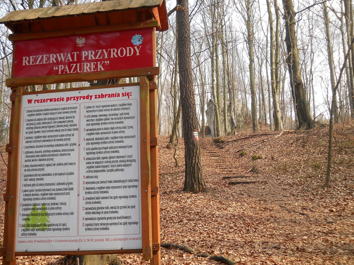 Podróże, Geofity wiosenne - czyli Rezerwat Pazurek i jego bogactwo. - Rzut okiem na tabliczkę informującą o warunkach korzystania z rezerwatu przyrody.