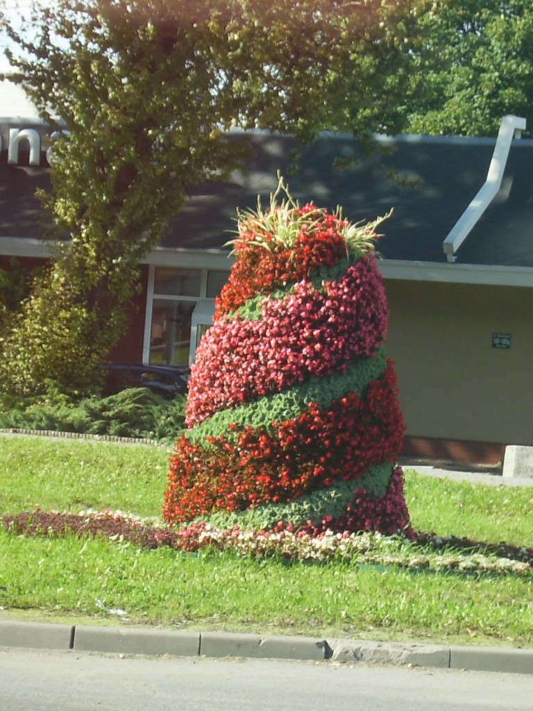 Rośliny, KLOMBY  BYTOMIA - STOŻEK