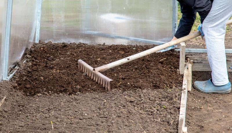 Pomidory potrzebują żyznego, zasobnego w składniki odżywcze podłoża.