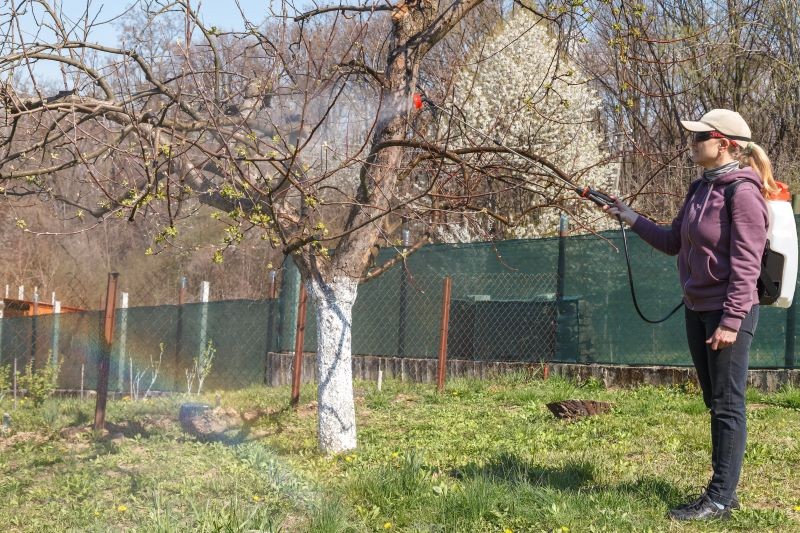 Opryski preparatami na bazie miedzi trzeba realizować zgodnie z zaleceniami producenta i zachowaniem niezbędnych środków ostrożności.