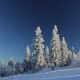 Pozostałe, zimowe klimaty - .