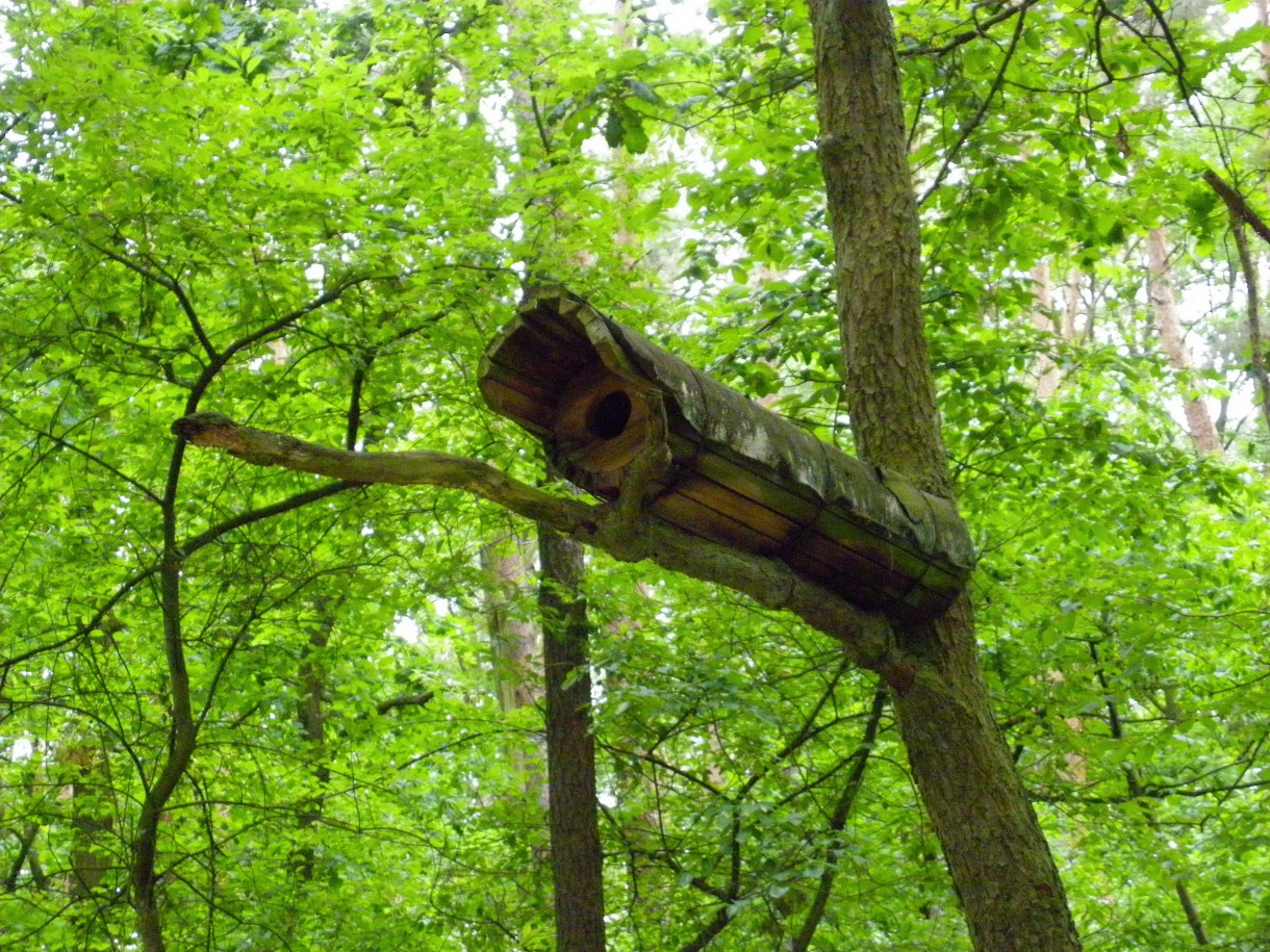 Pozostałe, Arboretum w Gołuchowie - Park i zabudowania cz 1 - Gołuchów  Zagroda dla zwierząt 