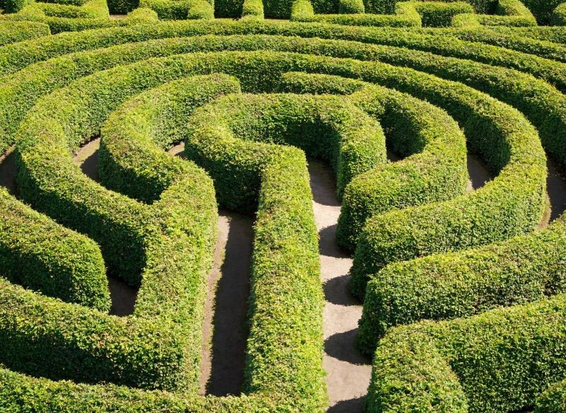 W Ogrodach Hortulus Spectabilis znajduje się największy na świecie labirynt grabowy. Fot. CanvaPro