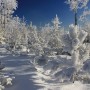 Pozostałe, zimowe klimaty - .