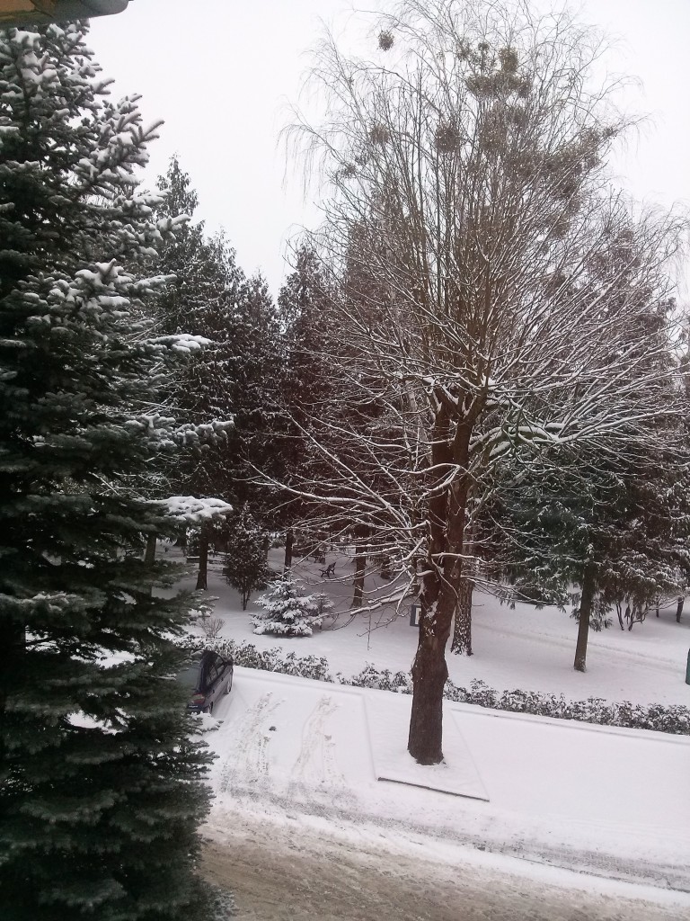 Pozostałe, I u mnie trochę zimy... - i park z okien...