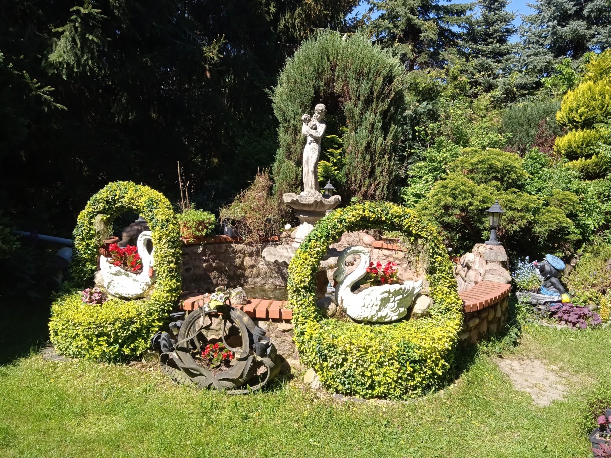 Rośliny, UROCZE ZAKĄTKI OGRODU