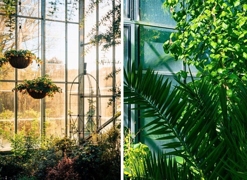 ogród zimowy w domu