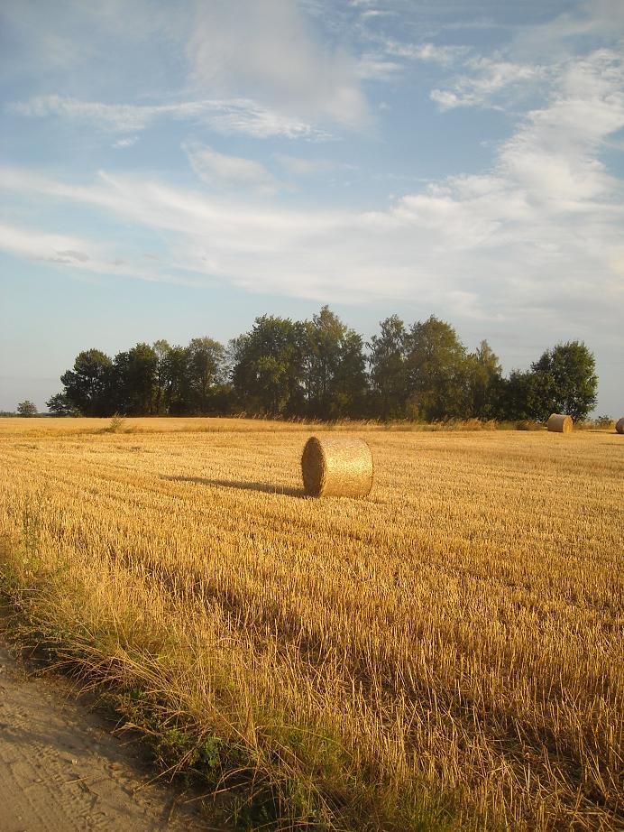 Pozostałe, Koniec lata............ - .............i wiejskie klimaty............