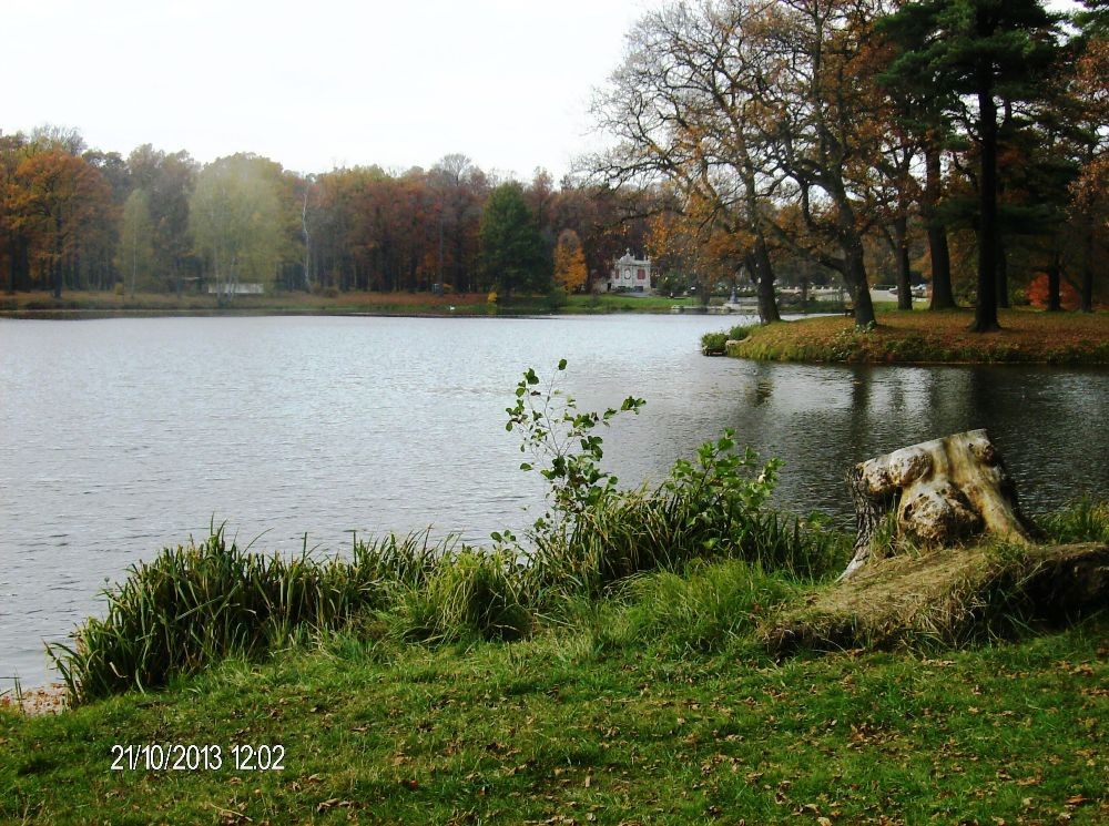 Pozostałe, PARK w ŚWIERKLAŃCU - Rozległe jeziorko ...