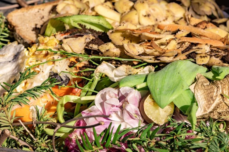 Domowy trik przyspieszy rozkład resztek w kompostowniku.